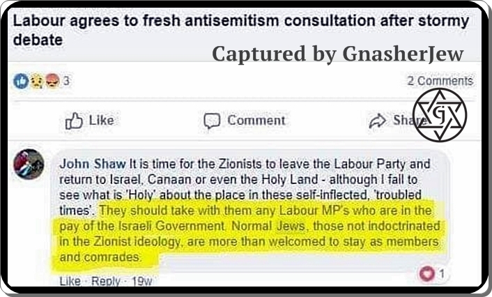 Antisemitism Definition EXMPL2a