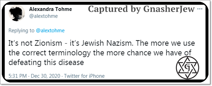Antisemitism Definition EXMPL7a