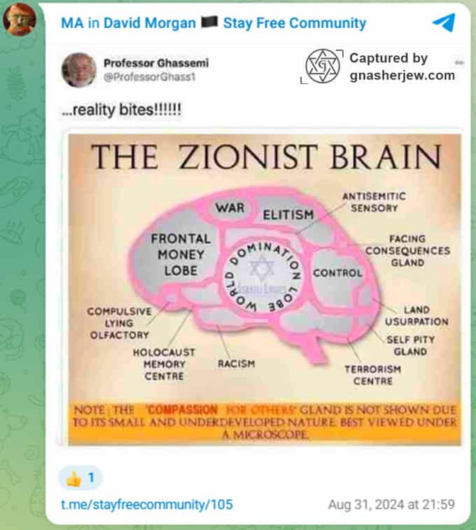 2025-12-03 12_48_57-Media Player