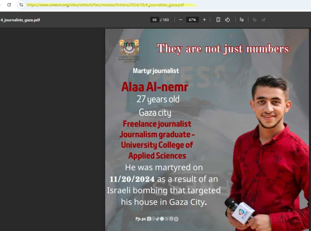 UNESCO - Alaa El-Nemr